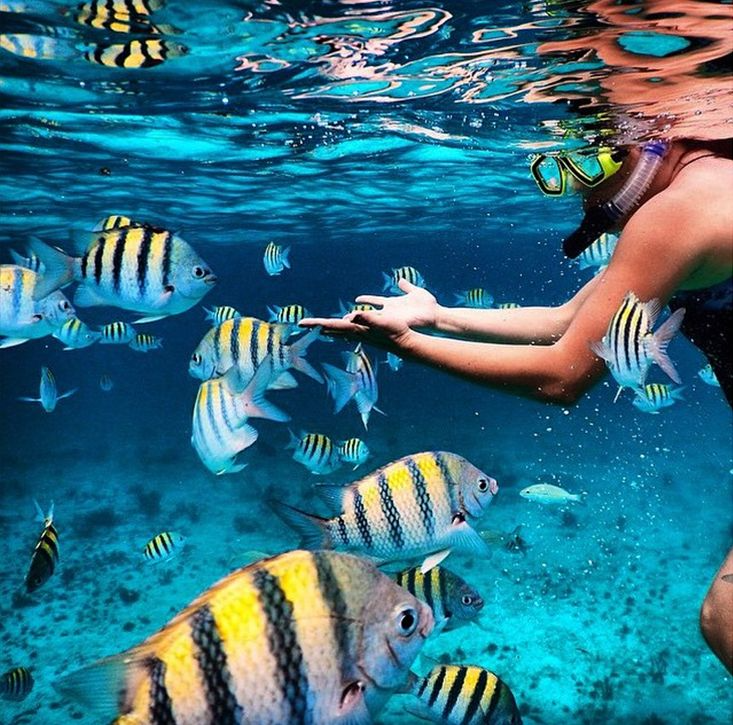 This is a picture of the a girl snorkling.